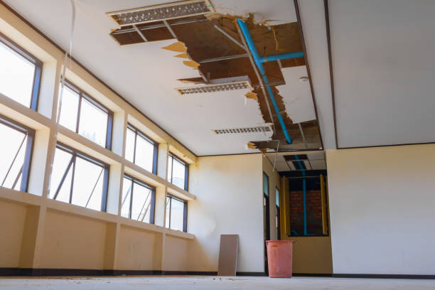 Best Flooded house restoration  in Belle Haven, VA