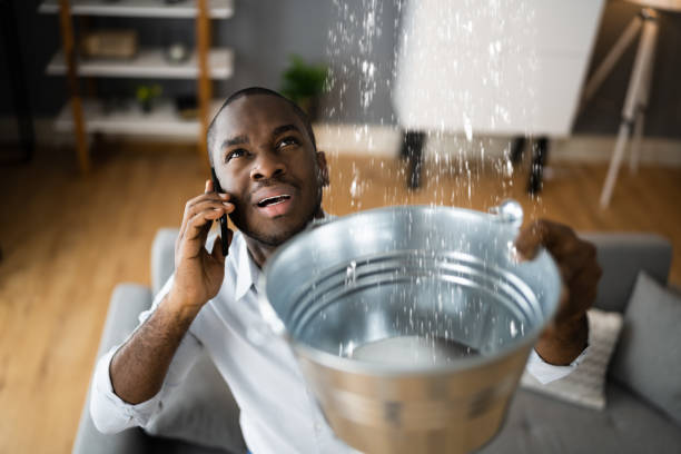 Best Fire Damage Restoration  in Belle Haven, VA