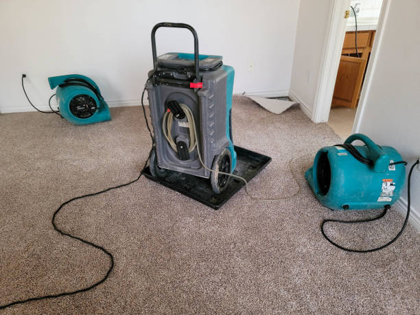 Reliable Belle Haven, VA Water damage restoration Solutions