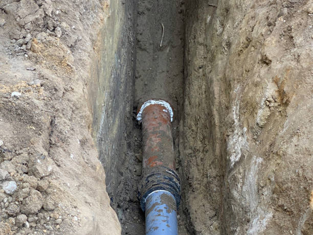 Best 24/7 water damage repair  in Belle Haven, VA