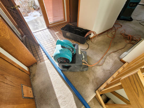 Best Flood restoration services  in Belle Haven, VA