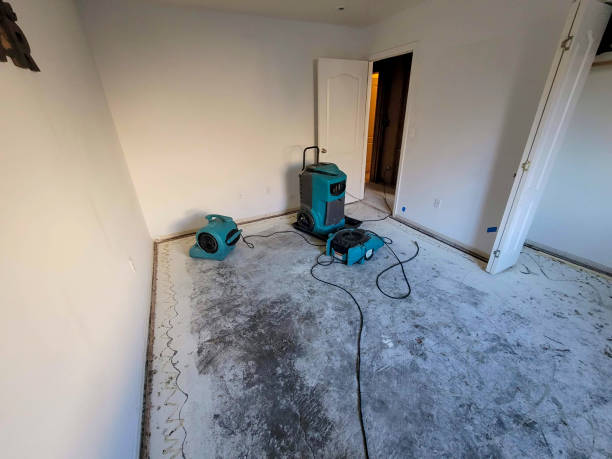 Best Carpet water damage restoration  in Belle Haven, VA