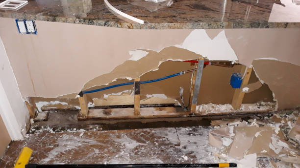 Best Basement water damage restoration  in Belle Haven, VA