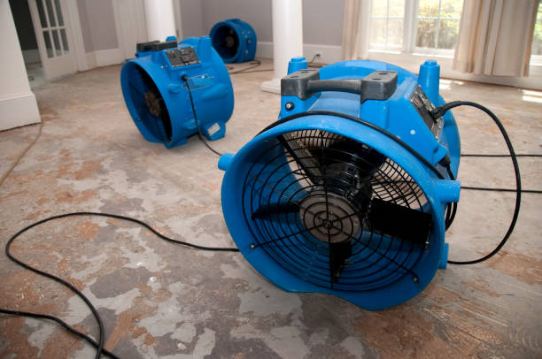 Best Fire Damage Restoration  in Belle Haven, VA