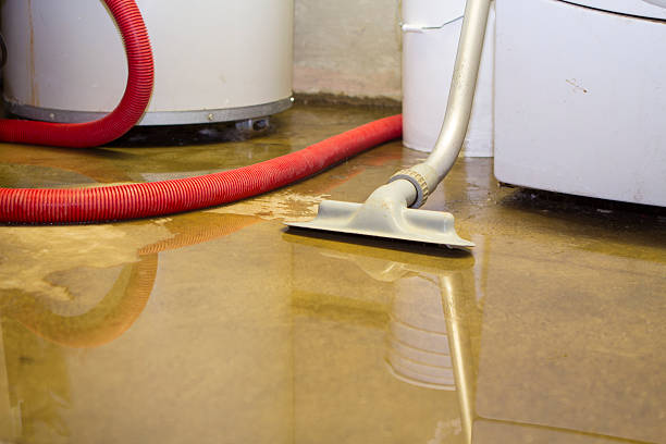 Best 24-hour water damage restoration  in Belle Haven, VA