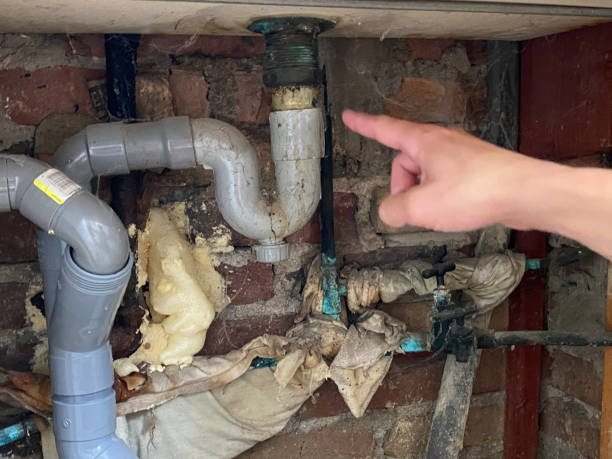 Best Local water damage restoration  in Belle Haven, VA