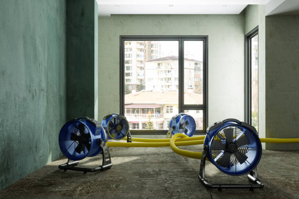 Best Ceiling water damage repair  in Belle Haven, VA