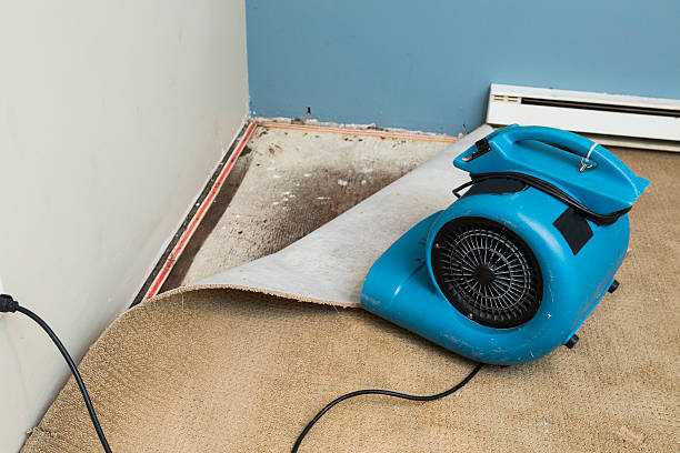 Water damage restoration experts in Belle Haven, VA